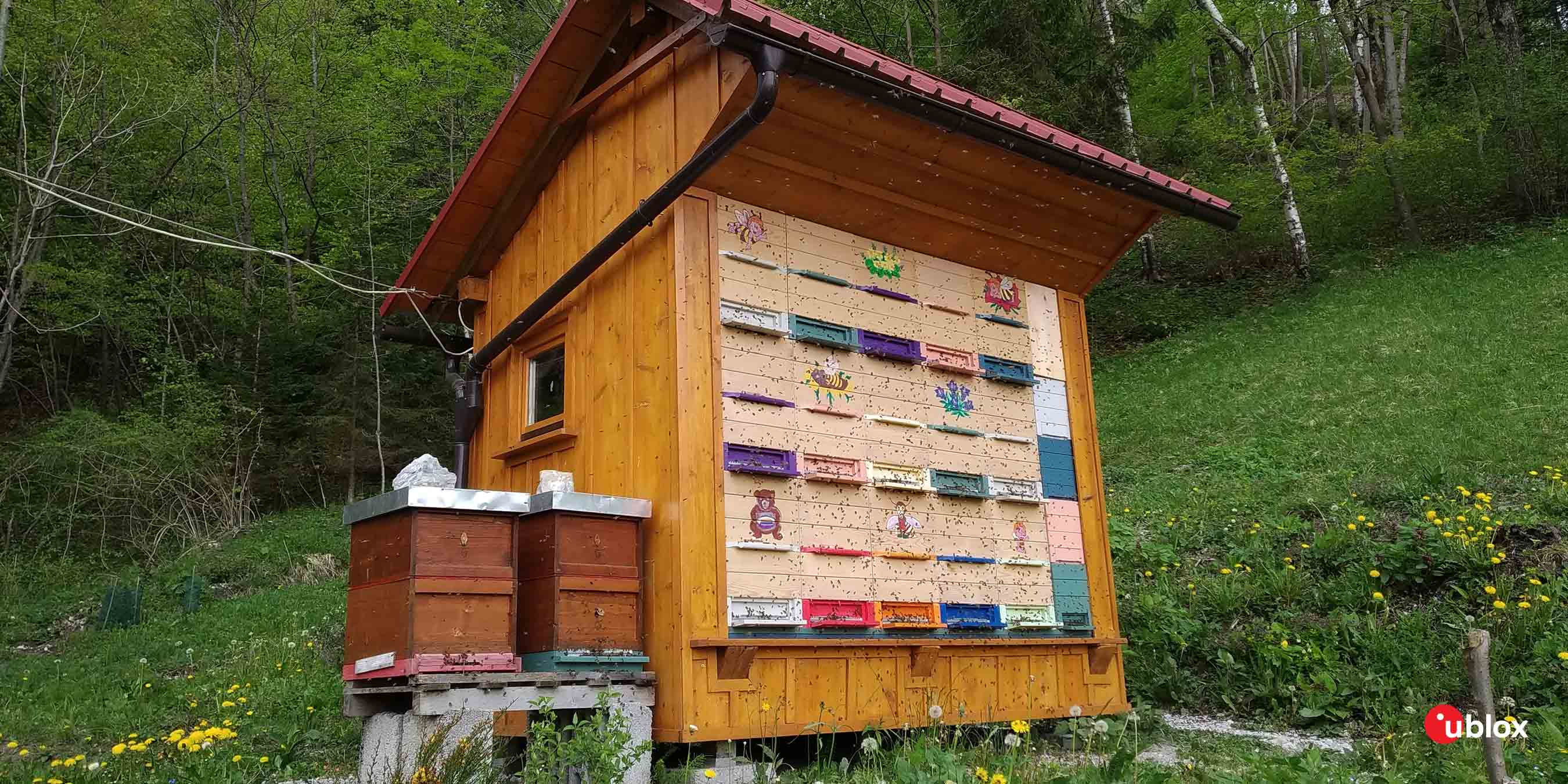 Slovenian unique beehive structure 