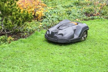 pointperfect: lawnmower on the grass cutting it