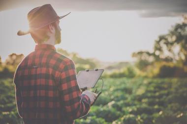 A person uses a tablet to review farm operations in an agricultural field. The image illustrates how the Nordian solution helps manage outdoor agricultural activities with support from u-blox technology.