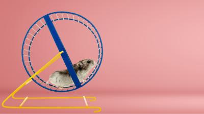 Energy harvesting hamster
