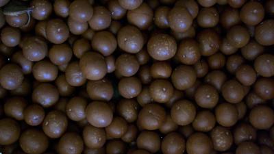 macadamia nuts south african farm