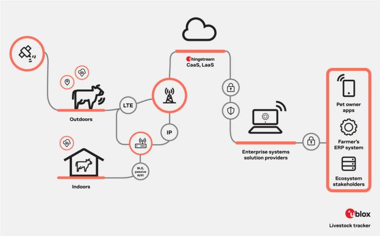 infographics presenting solution architecture for livestock monitoring