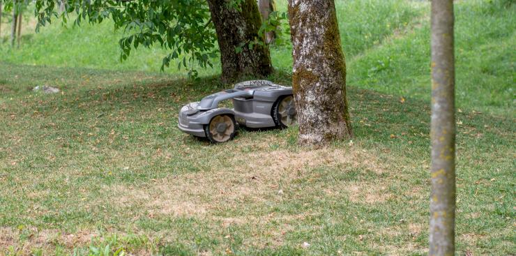 image of busy autonomous mower