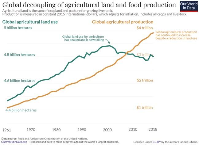 Global decoupling of agricultural land and food production