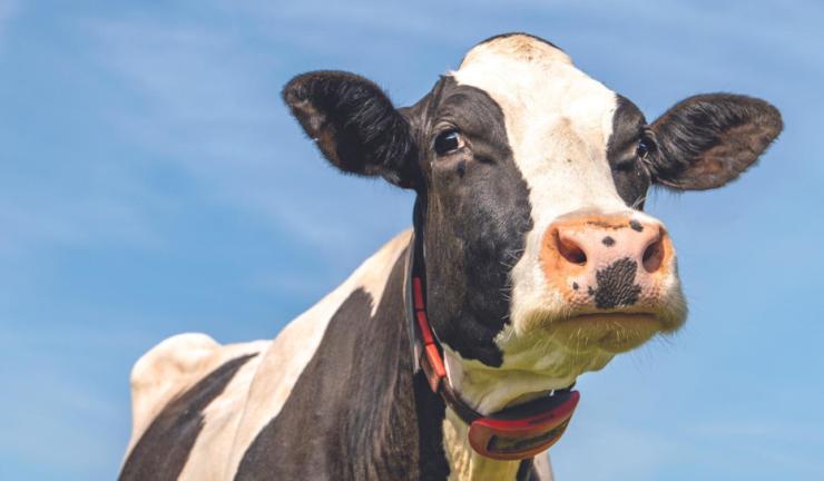 Small power-constrained asset trackers benefit from CloudLocate