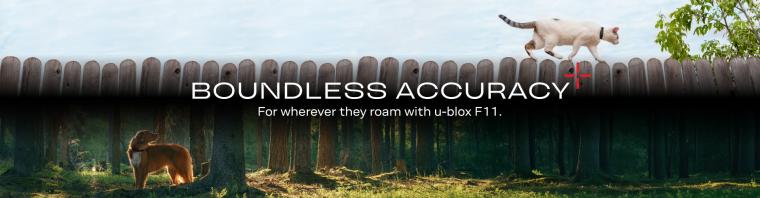 Cat on a fence and dog in a forest illustrating u-blox F11 GNSS accuracy for pet trackers.